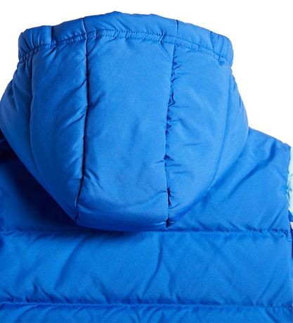 adidas Performance Dún jakki - Royal Blue