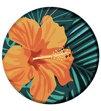 Richmond & Finch Grip - Orange Hibiscus Richmond & Finch Grip - Orange Hibiscus