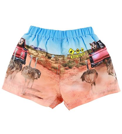 Molo Swim Shorts - UV50+ - Newton - In The Bush