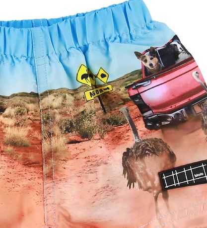 Molo Swim Shorts - UV50+ - Newton - In The Bush