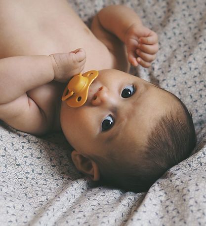 Filibabba Pacifiers - 2-Pack - Doeskin Filibabba Pacifiers - 2-Pack - Doeskin