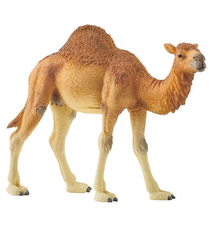Animal Schleich - H: 11 cm - Dromadaire 14832 Animal Schleich - H: 11 cm - Dromadaire 14832
