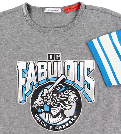 Dolce & Gabbana T-shirt - Grey w. Print