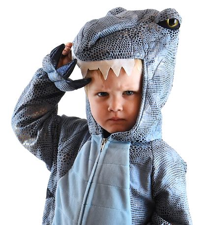 Den Goda Fen Costume - Dinosaur - Blue