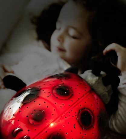 Cloud-B Náttljós - Twilight - 27 cm - Ladybug Cloud-B Náttljós - Twilight - 27 cm - Ladybug