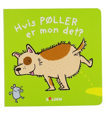 Forlaget Bolden Bilderbuch - Wem gehören die Pools? - Dänisch