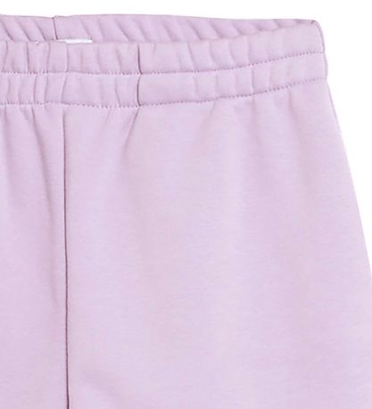Grunt Shorts - Heise - Purple