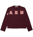 Marni Pusero - Berry Hillo M. Logo Marni Pusero - Berry Hillo M. Logo