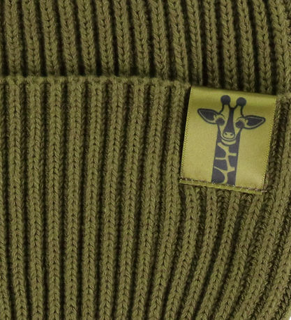 Bonnet DYR-Cph - Rib - Tricoté - Terre des animaux - Olive Bonnet DYR-Cph - Rib - Tricoté - Terre des animaux - Olive