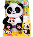 Little Live Pets - My Baby Panda