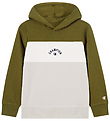 Champion Kapuzenpullover - Immersive Olive