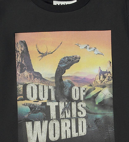 Molo Blouse - Rube - Strange World