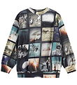 Molo Sweatshirt - Monti - Screens Molo Sweatshirt - Monti - Screens