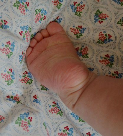 Literie Konges Sløjd - Bébé - Verona Bleus Literie Konges Sløjd - Bébé - Verona Bleus