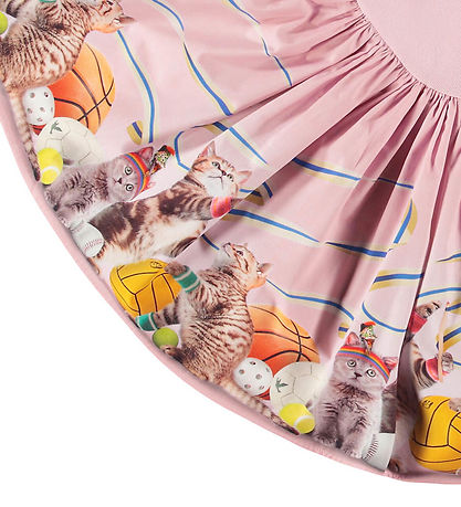 Robe Molo - Casie - Chats sportifs