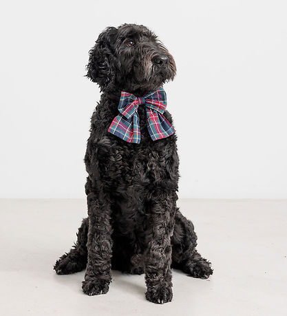 MarMar Hair Clip - Alina L - Pilot Navy Check MarMar Hair Clip - Alina L - Pilot Navy Check