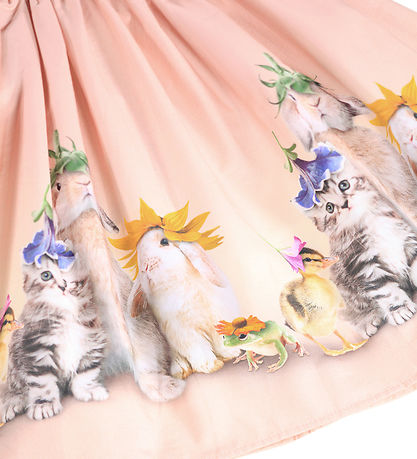 Molo Mekko - Cissa - Valokuvauskoppi