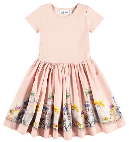 Molo Mekko - Cissa - Valokuvauskoppi