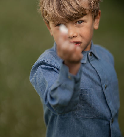 Hanevild Kauluspaita - Denim