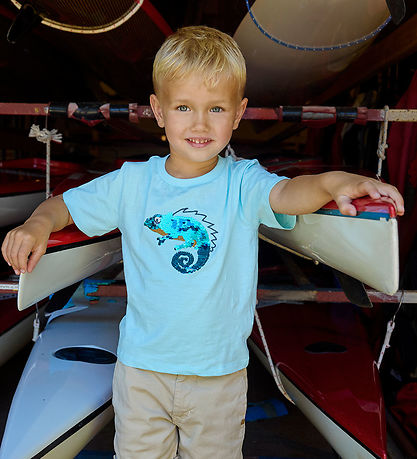 Minymo T-shirt - Aqua-esque