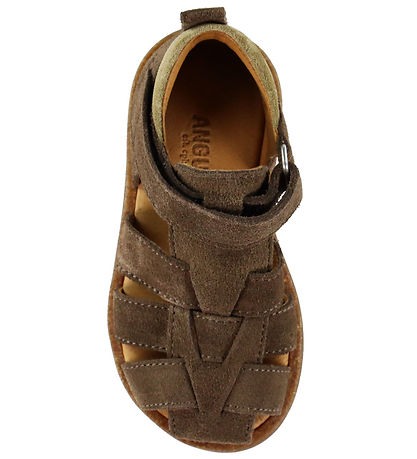 Angulus Sandaalit - Dark Taupe/Hiekka