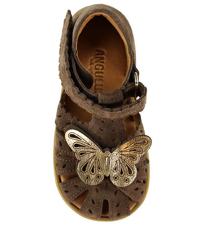 Angulus Sandales - Papillon - Dark Taupe/Gold