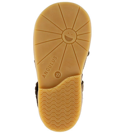 Angulus Sandales - Papillon - Dark Taupe/Gold