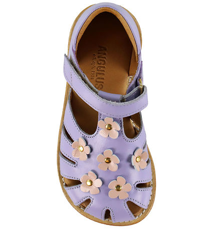 Angulus Sandals - Flowers - Amethyst/Rosebud