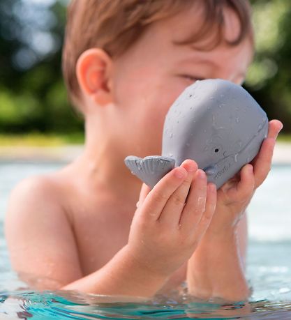 Jouet Pour le Bain Hevea - Caoutchouc Naturel - Baleine - Blizza Jouet Pour le Bain Hevea - Caoutchouc Naturel - Baleine - Blizza