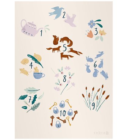 Sebra Poster - 70x50 - Daydream