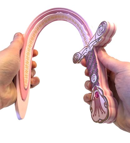 Liontouch Kostuum - Koninginzwaard - Roze
