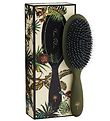 Fan Palm Hairbrush - Medium - Jungle