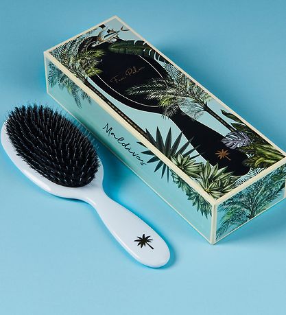 Fan Palm Hairbrush - Medium+ - Maldives