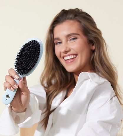 Fan Palm Hairbrush - Medium+ - Maldives