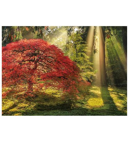 Heye Puzzle Puzzle - 1000 Pieces - Guiding Light