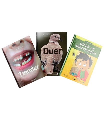 Straarup & Co Boekenpakket - 2e leerjaar - Assorti. - 5 Boeken Straarup & Co Boekenpakket - 2e leerjaar - Assorti. - 5 Boeken