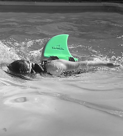 SwimFin Swimfin - Mint