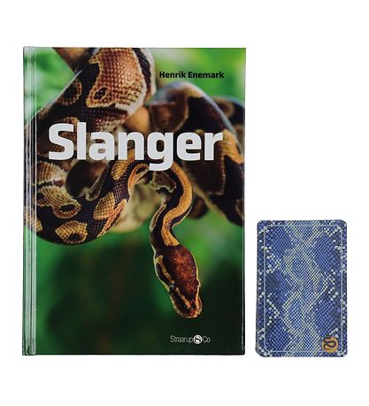 Straarup & Co Sammanpackning - Spela & Läs - Slanger Straarup & Co Sammanpackning - Spela & Läs - Slanger