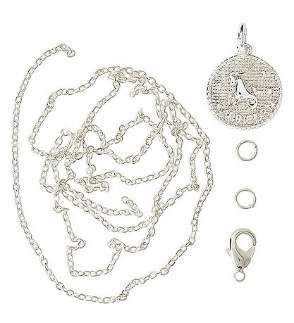 Collier av. Signe du zodiaque Me&My BOX - Capricorne - Plaqué ar