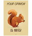 Hipd Poster - A4 - Squirrel Hipd Poster - A4 - Squirrel