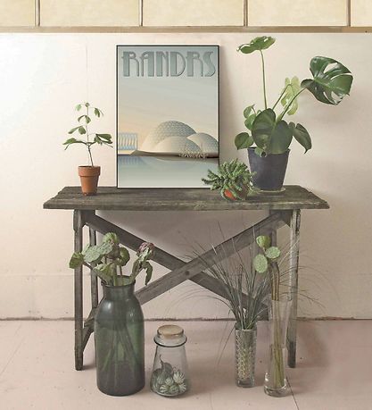 Vissevasse Poster - 30x40 - Randers - Rainforest